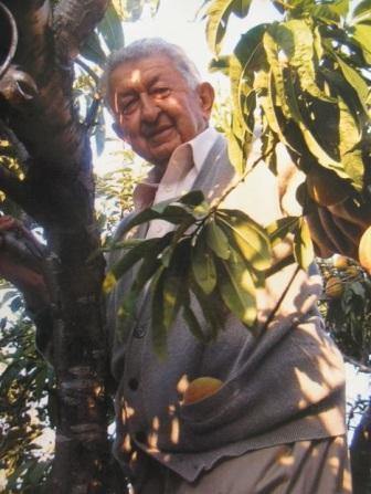 georgeemmanouilides