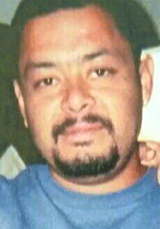 fernandogamboa